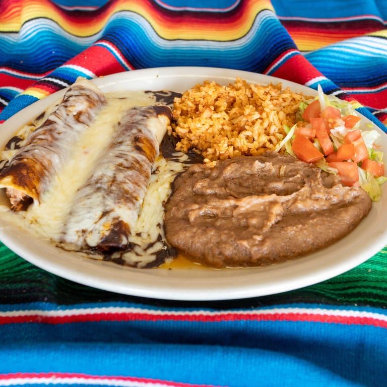 Discover Our Mole Delicacies